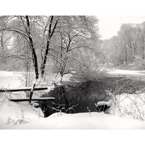 Snow and Pond 11 x 14 print